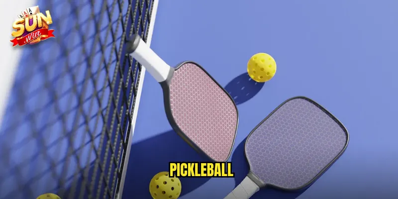 Cá Cược Pickleball Sunwin SH - Môn Thể Thao Kết Hợp Độc Đáo 1 Pickleball