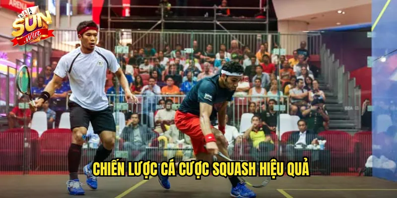 Chiến Lược Cá Cược Squash Hiệu Quả